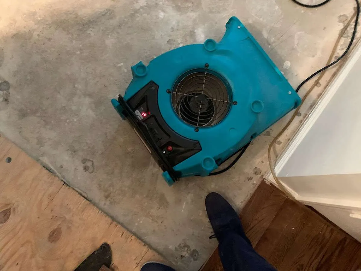Air mover drying subfloor during Leak Detection & Repair in DeWitt